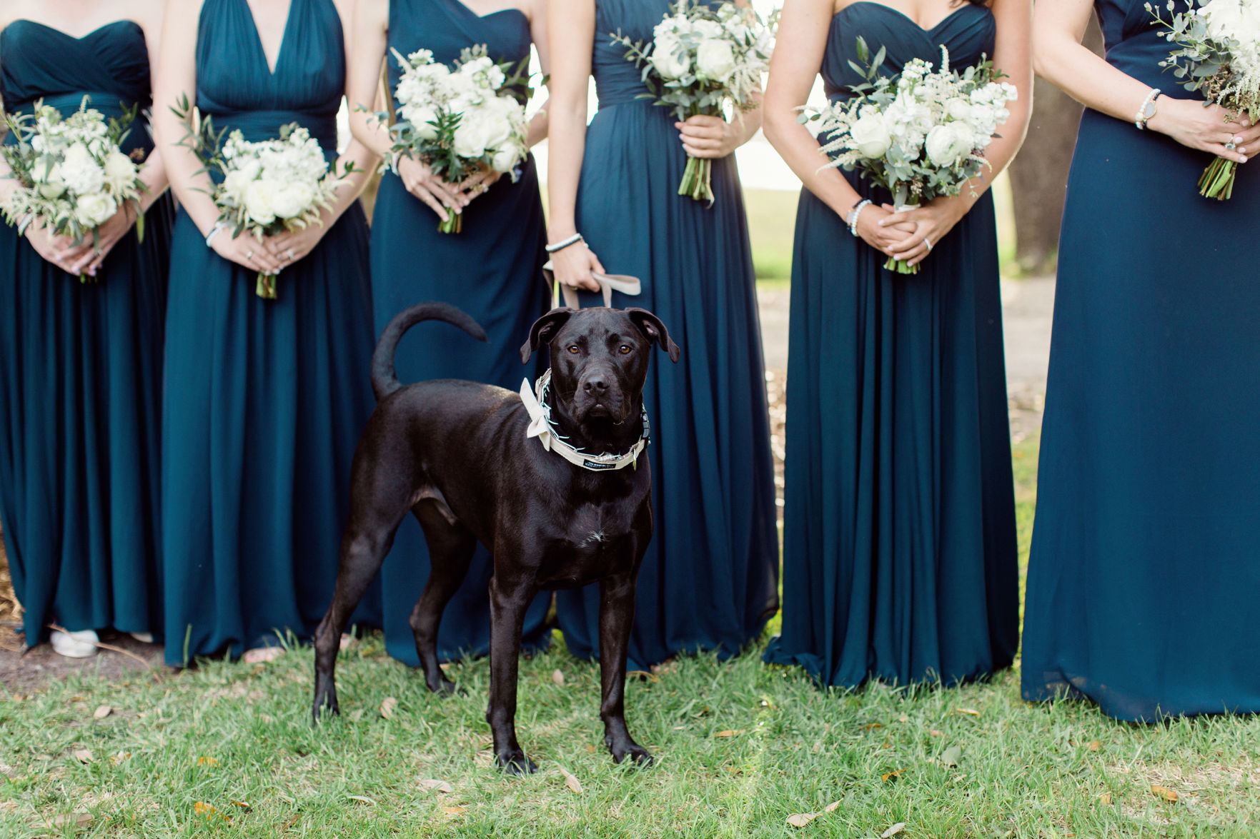 dog at wedding.jpg (copy)